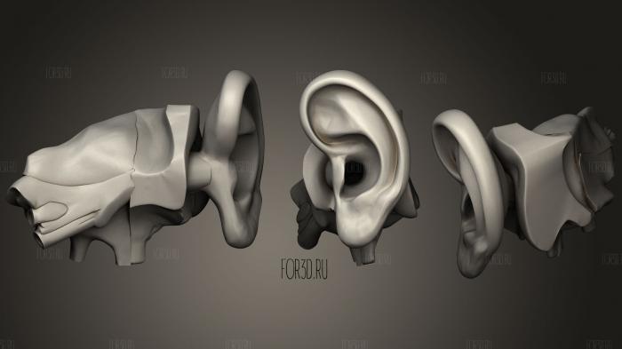 Hearing system